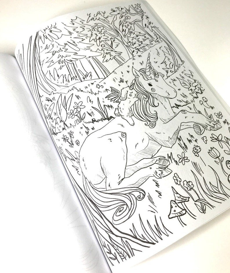 Magical Bunnies Coloring Book