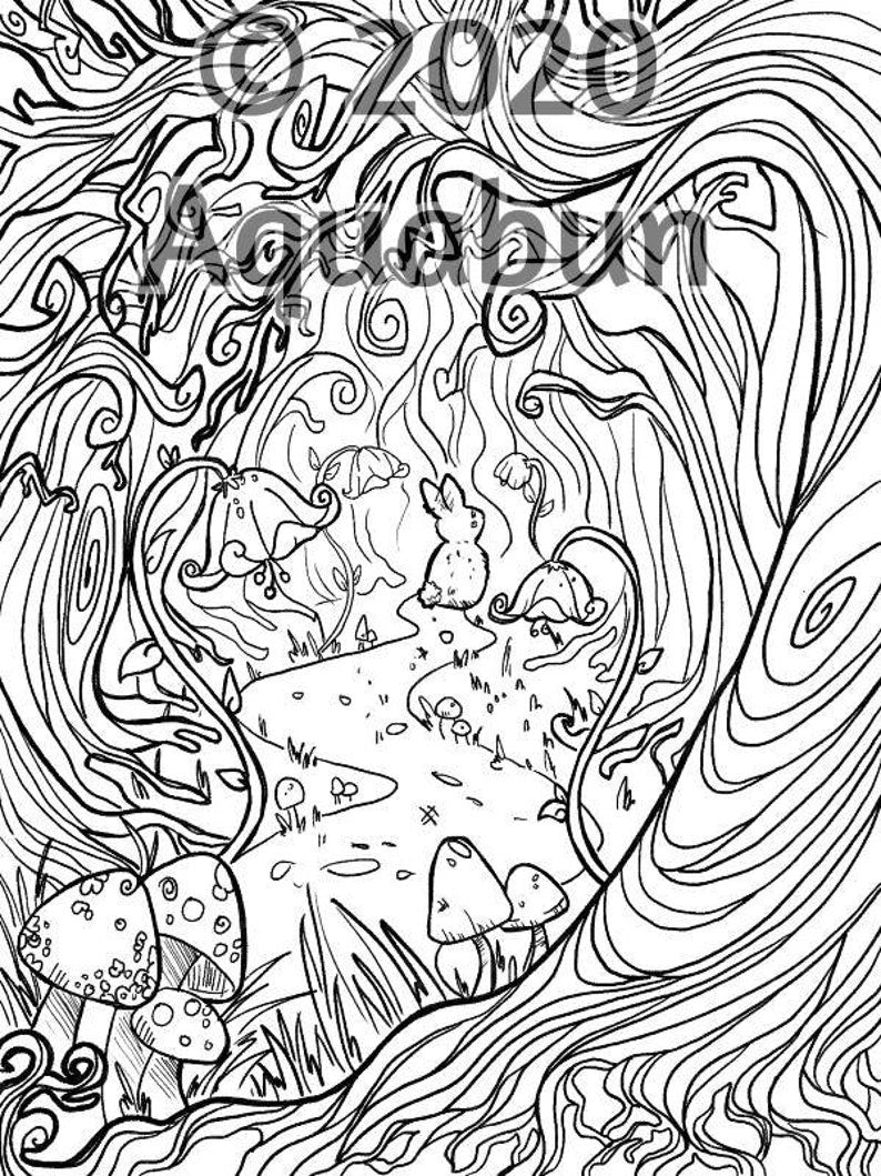 Magical Bunnies Coloring Book