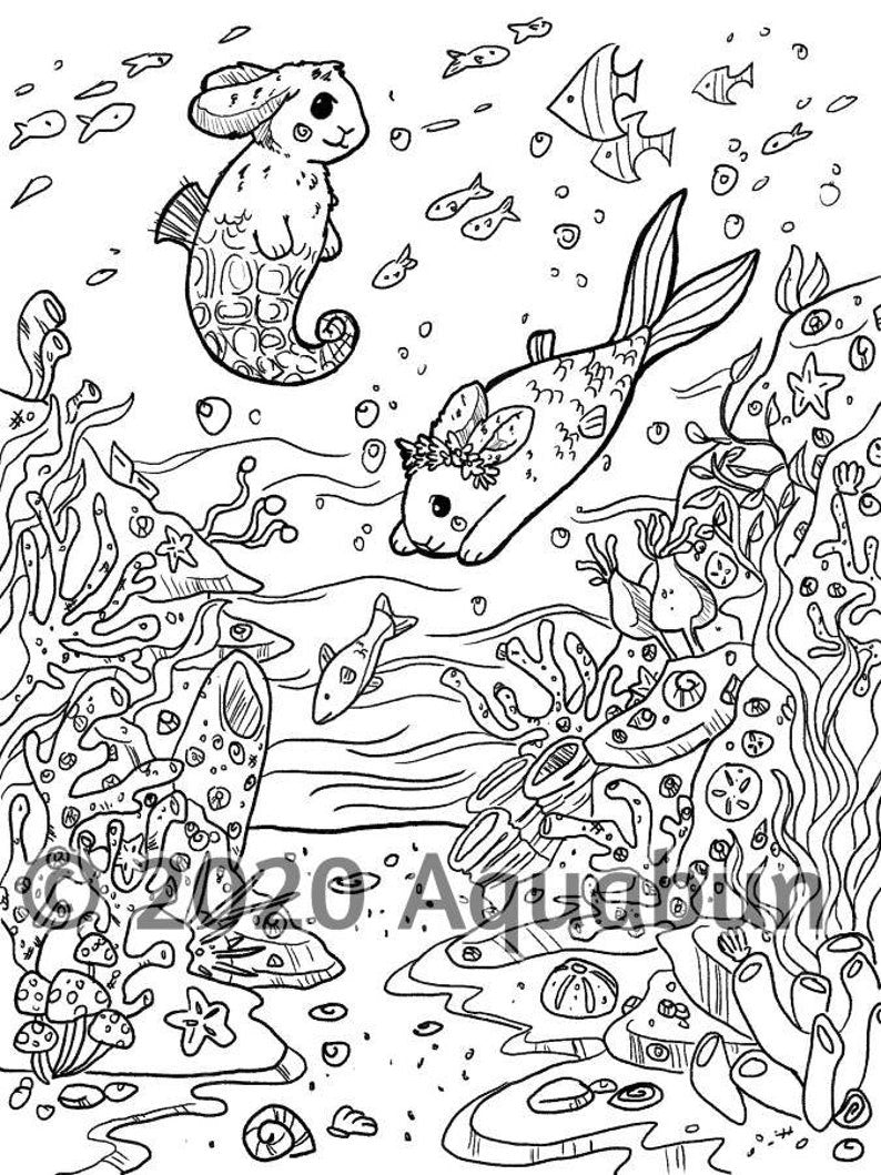 Magical Bunnies Coloring Book