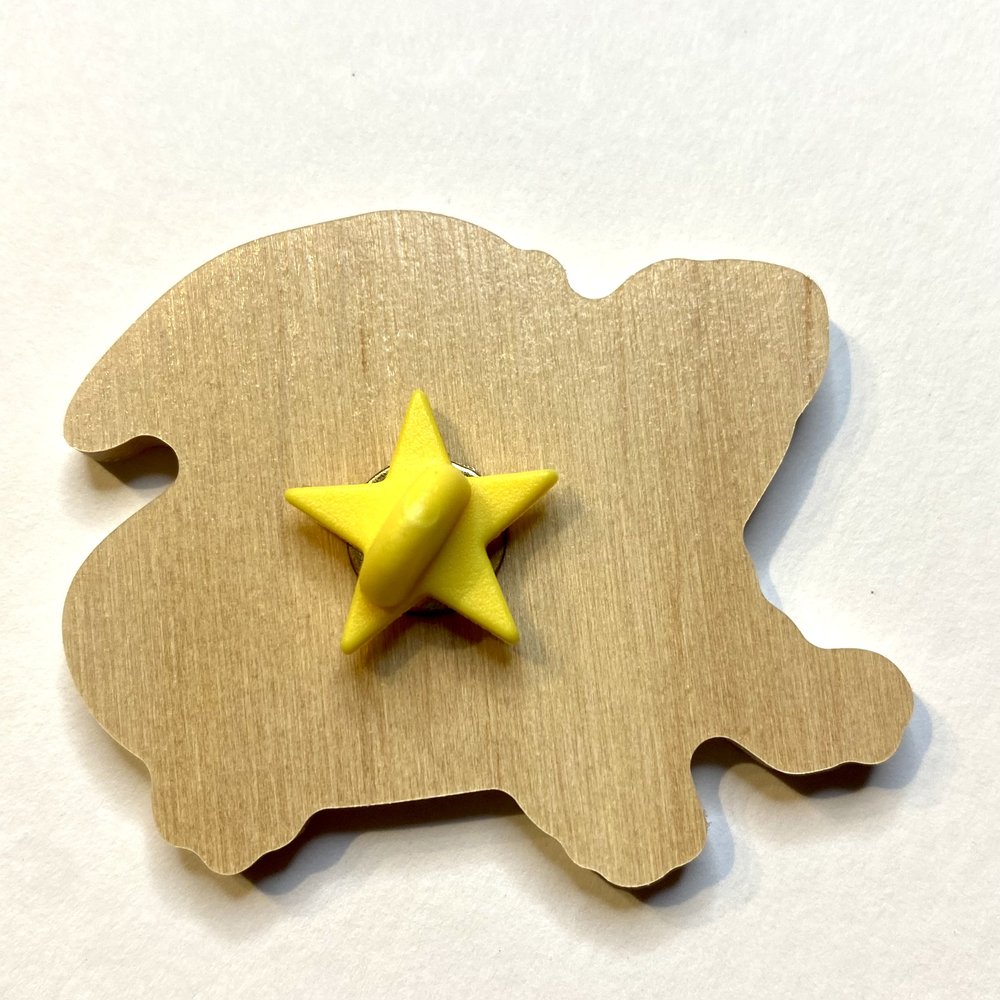 Bearded Dragon Pin
