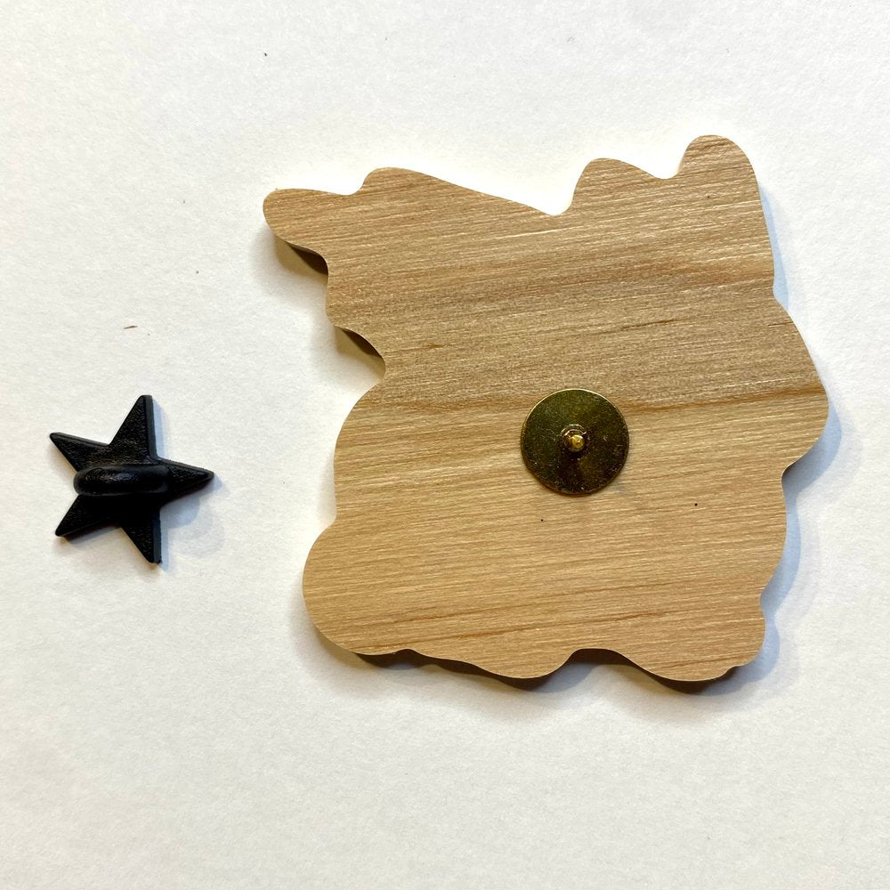 Toad Fairy Pin