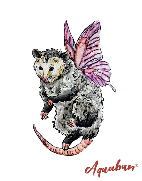 Possum Fairy Print