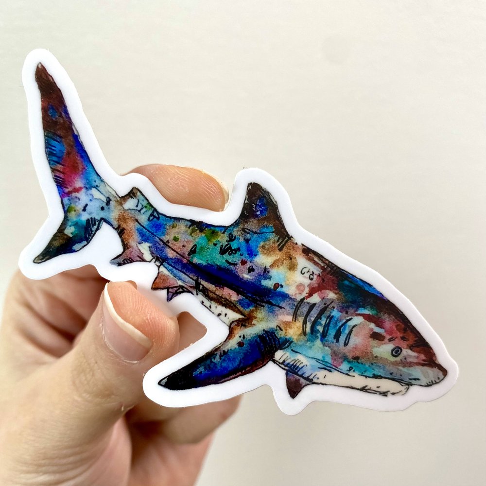 Shark Sticker
