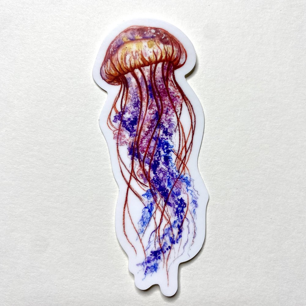 Jellyfish Sticker