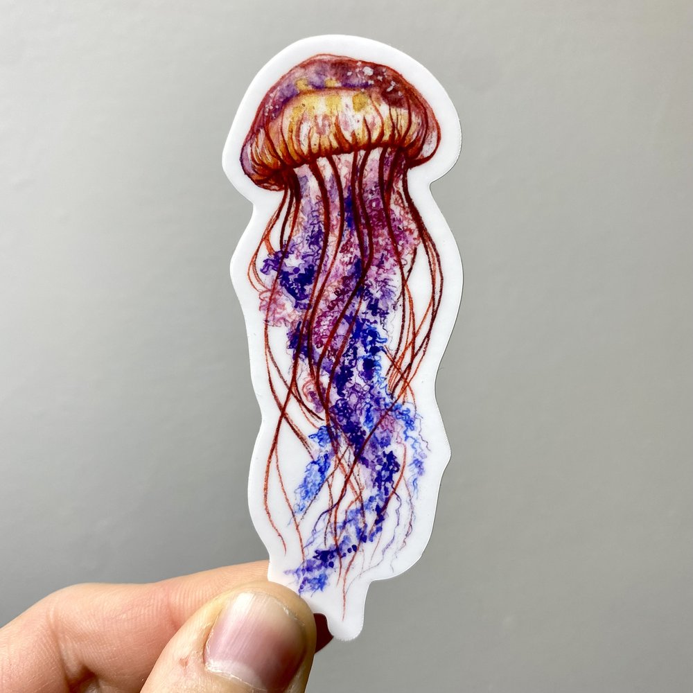 Jellyfish Sticker