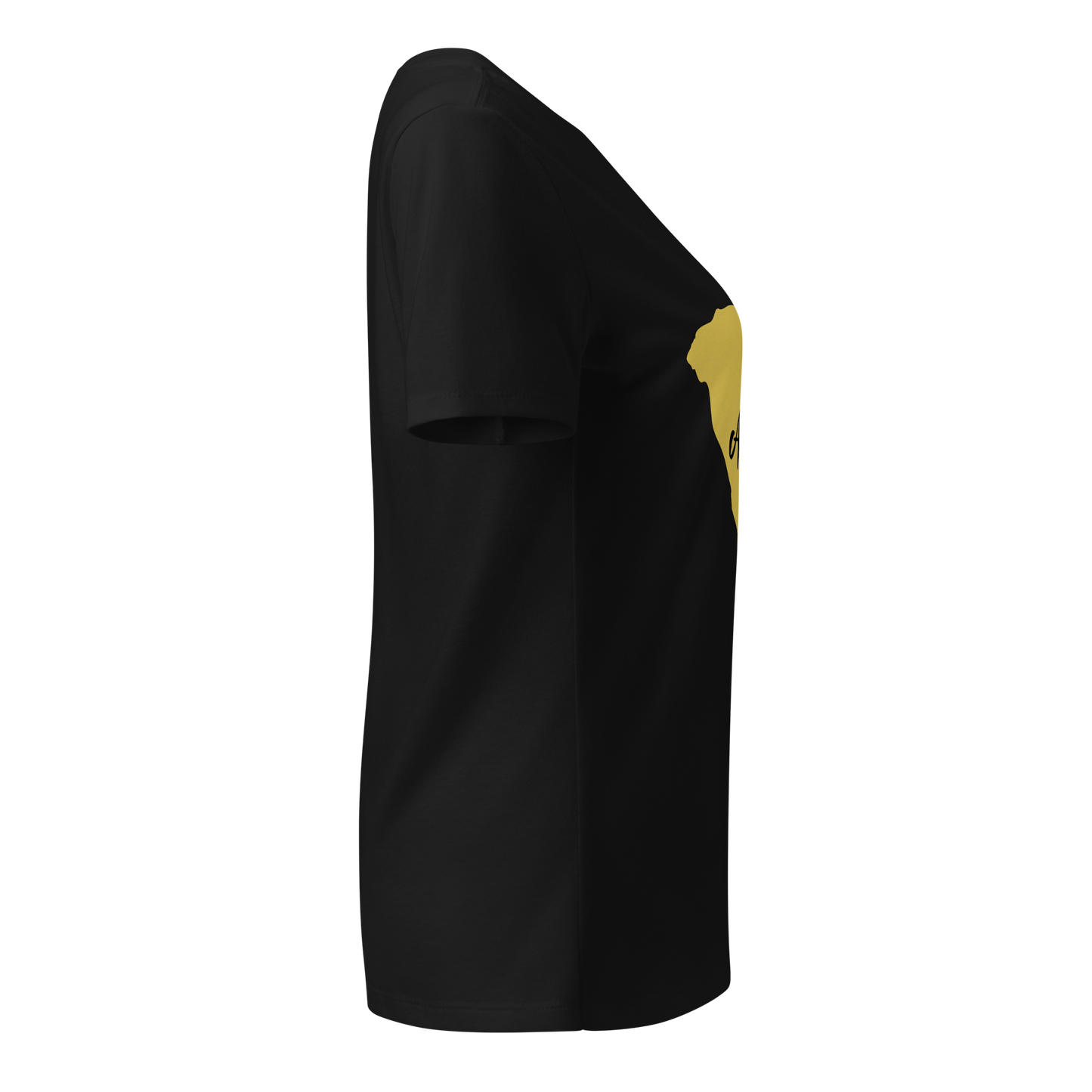 Aquabun Carolina Gold Women’s V-neck T-shirt
