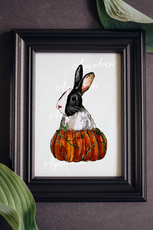 Pumpkin Bunny Poster