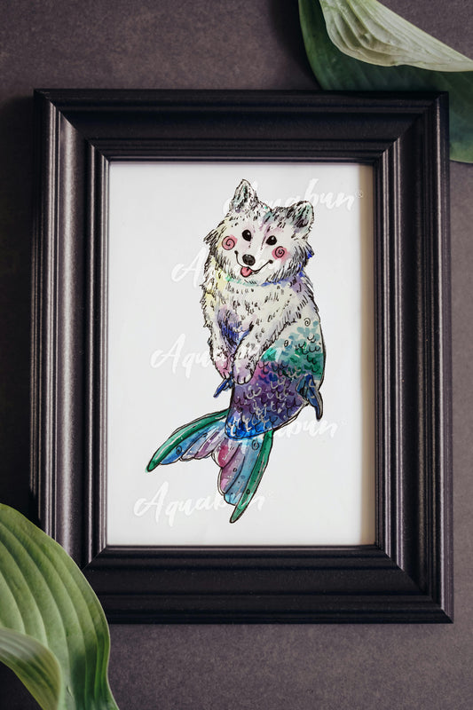 Mersamoyed Poster