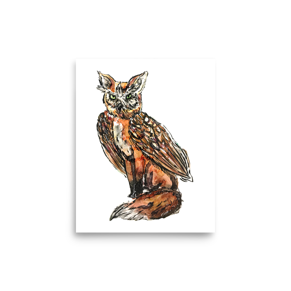 Owl Fox Poster