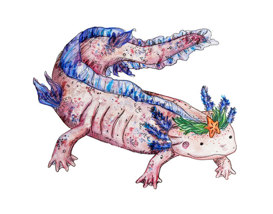 Axolotl Print