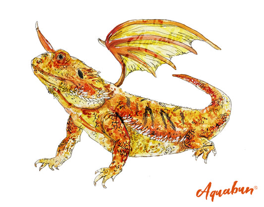 Bearded Dragon Print