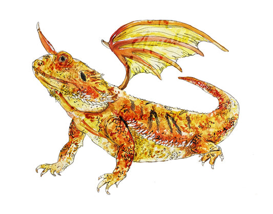 Bearded Dragon Print
