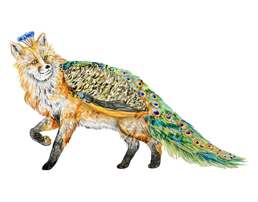Fox Peacock Print
