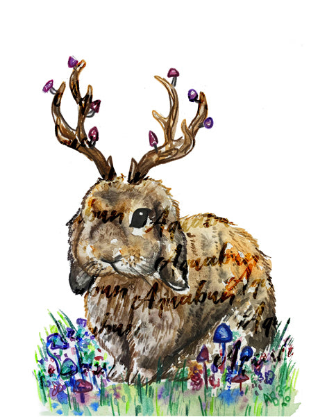 Jackalope Bunny Print