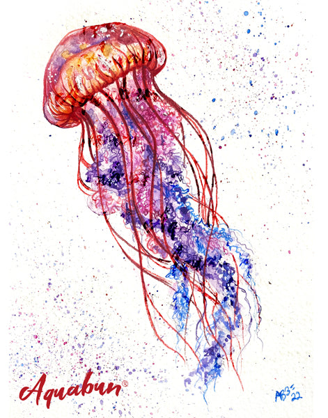 Jellyfish Print