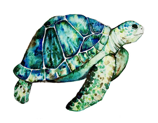 Sea Turtle Print
