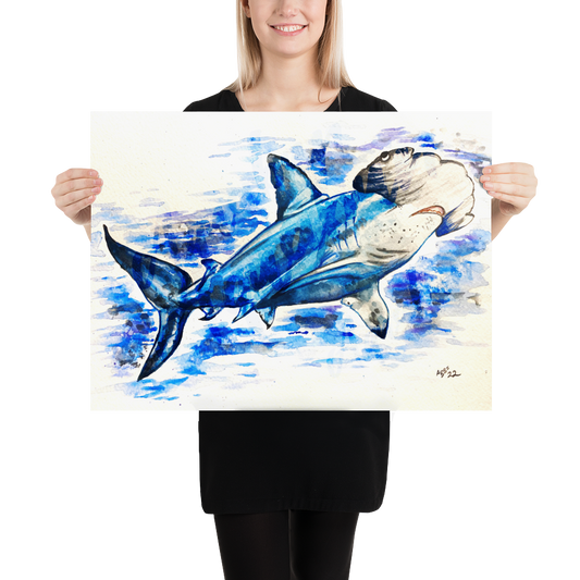 Hammerhead Shark Poster